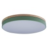 Потолочный светодиодный светильник Loft IT Axel 10001/36 green