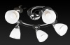 Спот Toplight Sara TL2730X-05BC