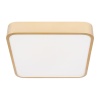 Потолочный светодиодный светильник Loft IT Flims 10228/C