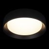 Потолочный светильник Loft it Coin 10202 BB