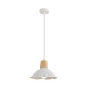 Подвесной светильник Lumion SUSPENTIONI 8352/1A