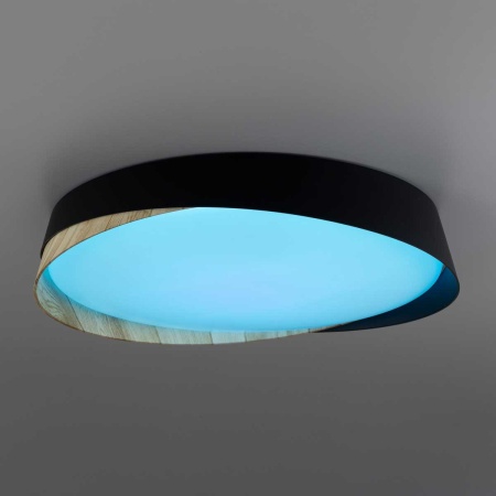 Светильник потолочный Citilux BONNY CL754351G