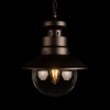 Уличный подвесной светильник Loft IT Piemonte 100022P