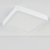 Потолочный светодиодный светильник Elektrostandard DLS034 18W 4200K a043017