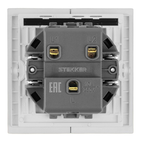 Выключатель 2-клавишный c индикатором (механизм), Stekker, 250В, 10А Мия, RSW10-3102-01, белая магнолия 50432