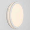 Светильник накладной Citilux LUNS CL711010V