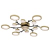 Потолочный светодиодный светильник F-Promo Hybrid 4686-13C