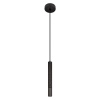 Подвесной светильник Loft IT Everest 10583C Black