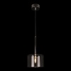 Подвесной светильник Loft IT Spillray 10232/A Smoke