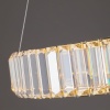 Подвесной светодиодный светильник Freya Tier FR5257PL-L25G