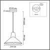 Подвесной светильник Lumion SUSPENTIONI 8352/1A