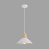 Подвесной светильник Lumion SUSPENTIONI 8352/1A