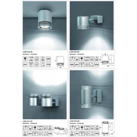 Потолочная люстра IMEX IL.0001.0101