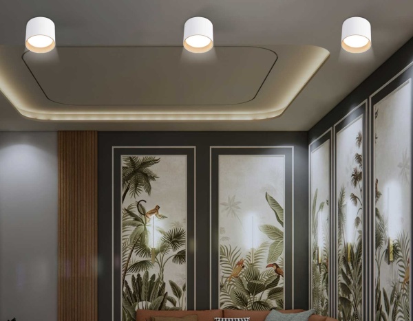 Светильник накладной Ambrella Light TN5304 Светильник накладной Ambrella Light TN5304