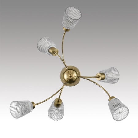 Светильник потолочный Lumion IMANA 8154/6C