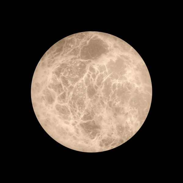 Настенный светильник LOFT IT Emi 10414W/S