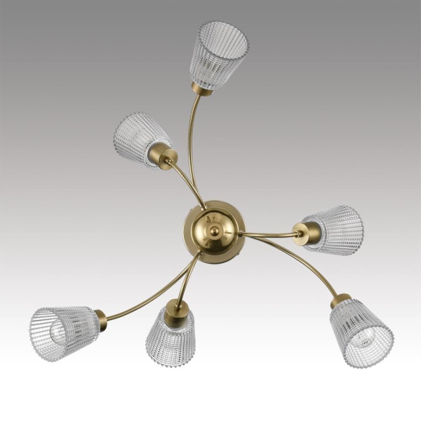 Светильник потолочный Lumion IMANA 8154/6C