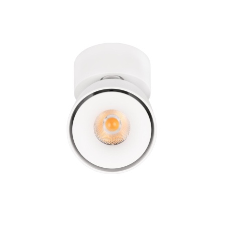 Спот Loft IT Focus 10323/A White