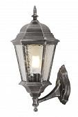 Уличный настенный светильник Arte Lamp Genova A1201AL-1BS
