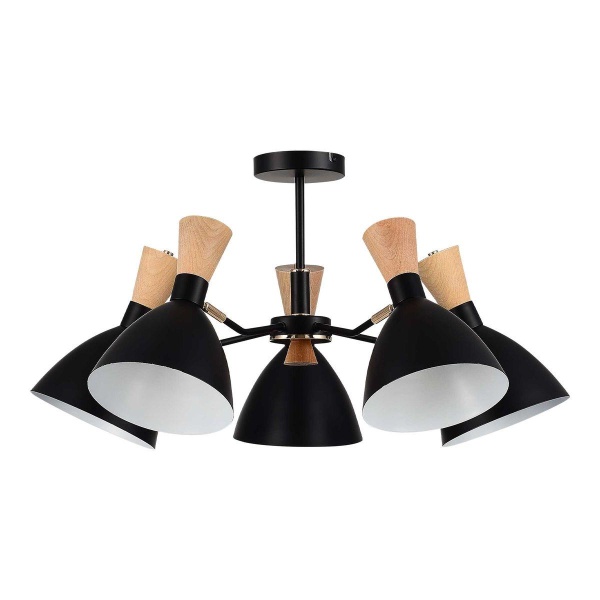 Потолочная люстра Evoluce Vista SLE1256-402-05