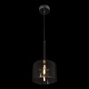 Подвесной светильник Loft IT Spillray 10232/A Smoke
