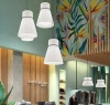 Подвесная люстра Imperium Loft Peo B D60 232563-23