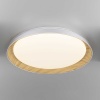 Потолочный светодиодный светильник Citilux Mega CL752452G