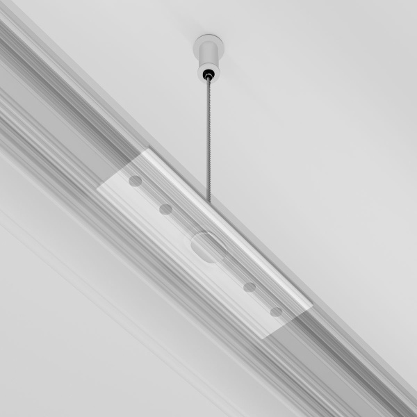 Подвес Maytoni Technical Exility (2 шт) TRA034SW-2W Подвес Maytoni Technical Exility (2 шт) TRA034SW-2W