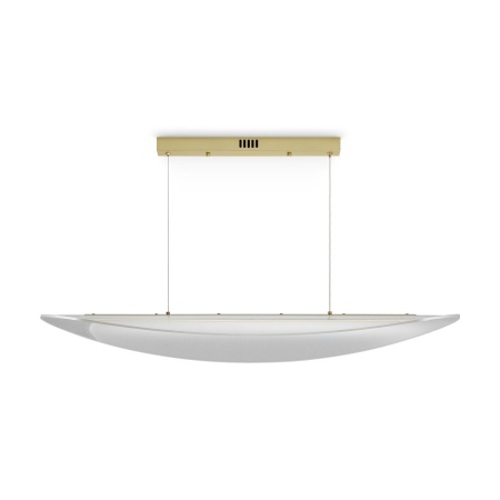 Подвесной светодиодный светильник Freya Cloud FR5441PL-L40G Подвесной светодиодный светильник Freya Cloud FR5441PL-L40G