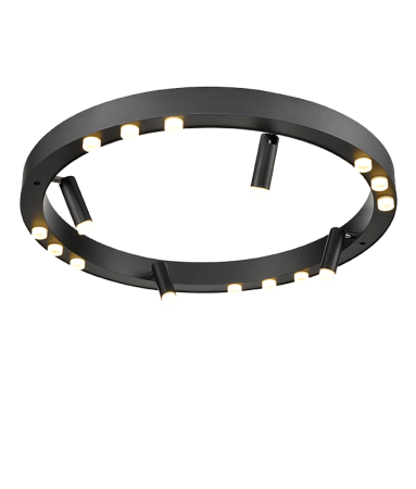 Потолочный светильник Vele Luce Satellite VL7172L12