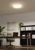 Потолочный светильник Eglo Approdo 901526