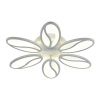 Потолочная светодиодная люстра Escada Grain 10222/6LED