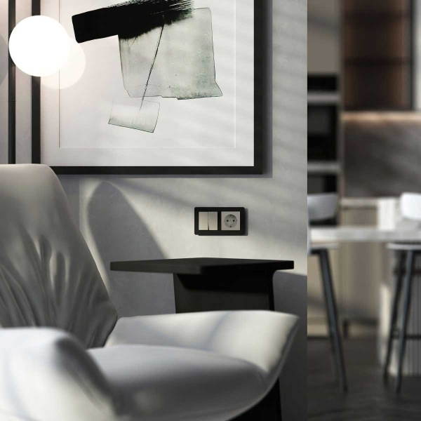 Выключатель двухклавишный (дымчатый) W1220004/ a069452