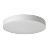 Светильник потолочный Citilux BART CL755490