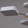 Светильник потолочный Reluce 03360-0.3-05 WH+FGD