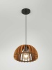 Подвесной светильник Rivoli Ivy 5111-201 Б0069914