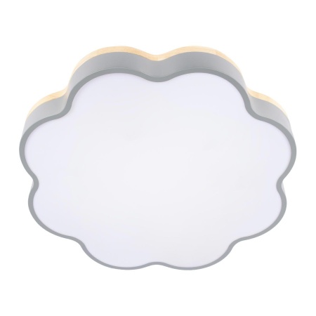 Потолочный светодиодный светильник Loft IT Axel 10225/36 Grey