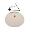 Подвесной светильник Lumion Armina Moderni 8321/1C