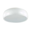 Потолочный светильник Lumion Moderni Timo 4413/3C
