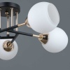 Потолочный светильник ILLUMICO IL0689-5CSQ-24 BK FGD LIBRA