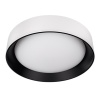 Потолочный светильник Loft it Coin 10202 WB