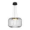 Подвесной светодиодный светильник Freya Citrus FR5398PL-L8B