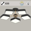 Светильник потолочный Reluce 03360-0.3-05 BK+FGD