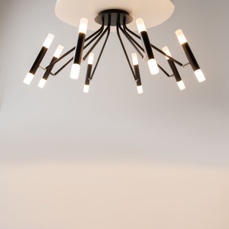 Потолочная люстра Maytoni Vigo MOD620CL-16B