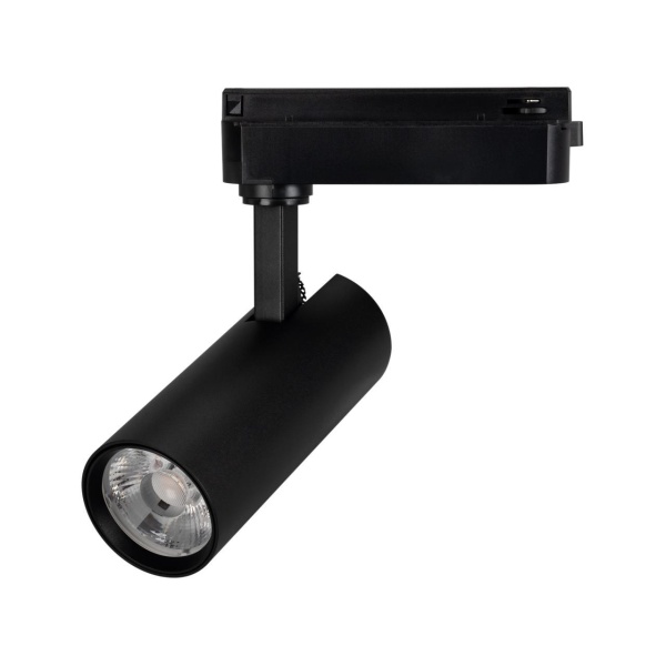 Трековый светодиодный светильник Arlight LGD-GERA-2TR-R55-10W Warm3000 055057