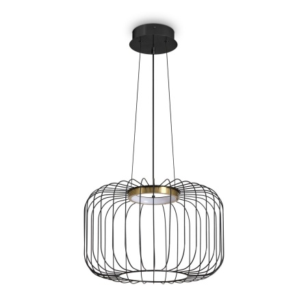Подвесной светодиодный светильник Freya Citrus FR5398PL-L8B
