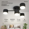 Потолочная люстра Rivoli Ruth 3190-304 Б0071293