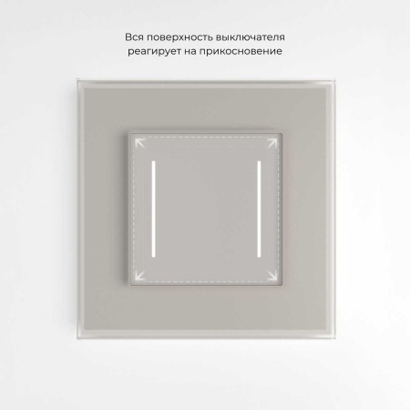 Сенсорный выключатель двухклавишный с подсветкой (дымчатый) W4522014/ a069763