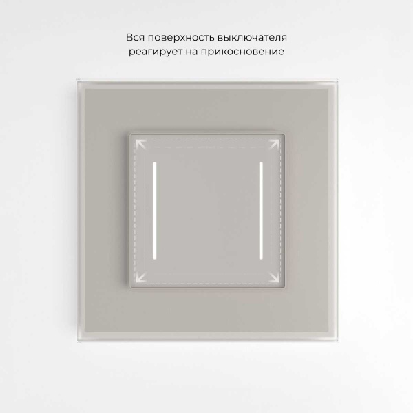 Сенсорный выключатель двухклавишный с подсветкой (дымчатый) W4522014/ a069763