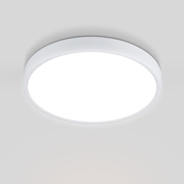 Потолочный светодиодный светильник Elektrostandard DLR034 24W 4200K a043016